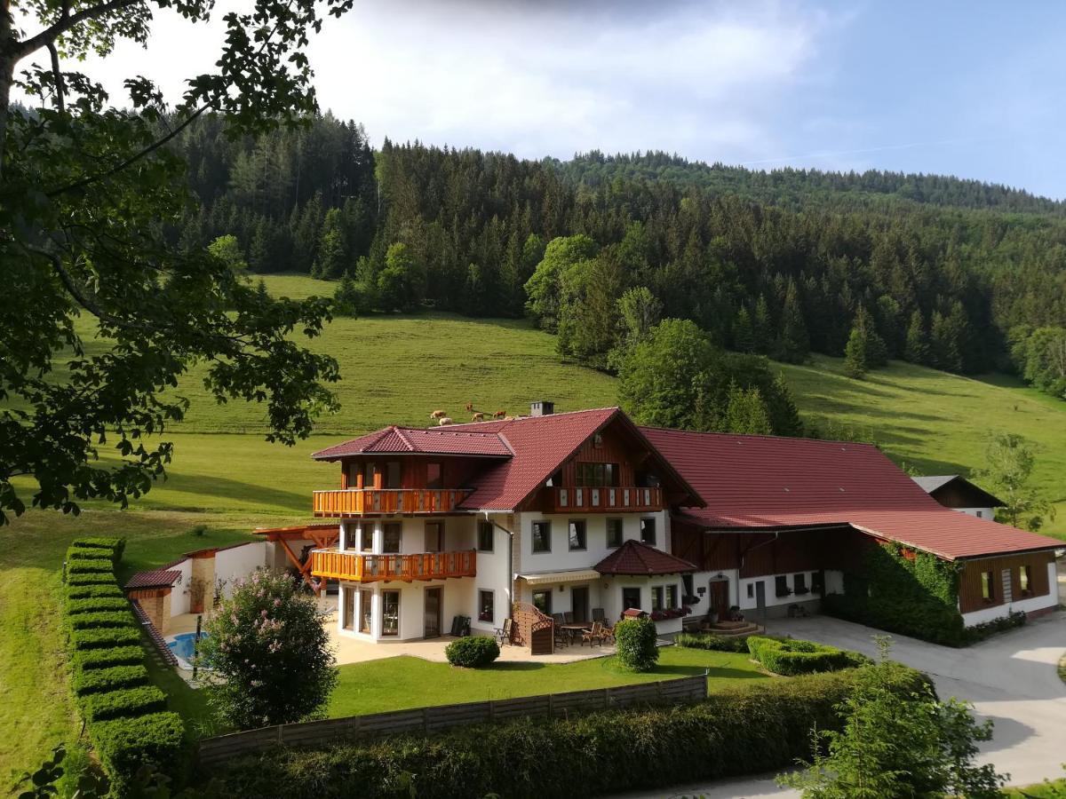 Ferienwohnung Hackstock Lunz am See Zewnętrze zdjęcie